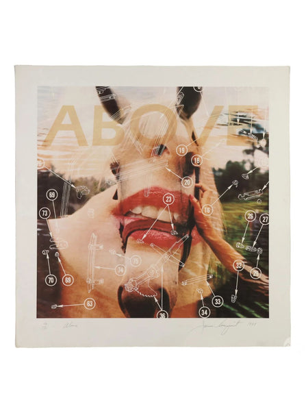 James Rosenquist, "Above" (1981)